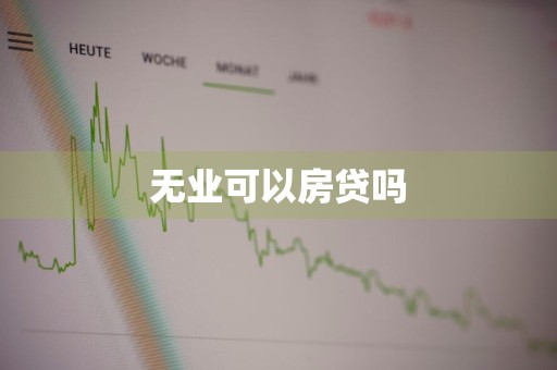无业可以房贷吗