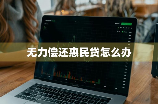 无力偿还惠民贷怎么办
