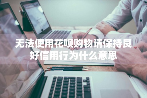 无法使用花呗购物请保持良好信用行为什么意思