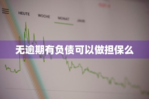无逾期有负债可以做担保么