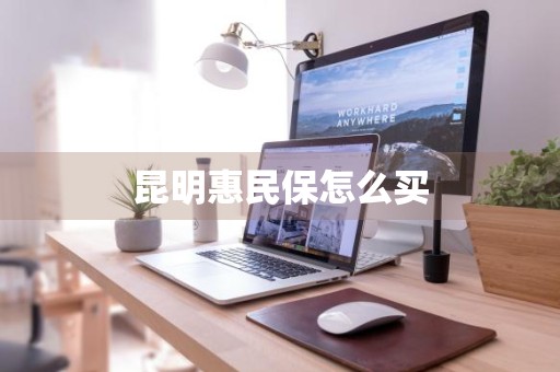 昆明惠民保怎么买