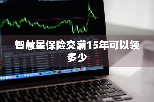 智慧星保险交满15年可以领多少
