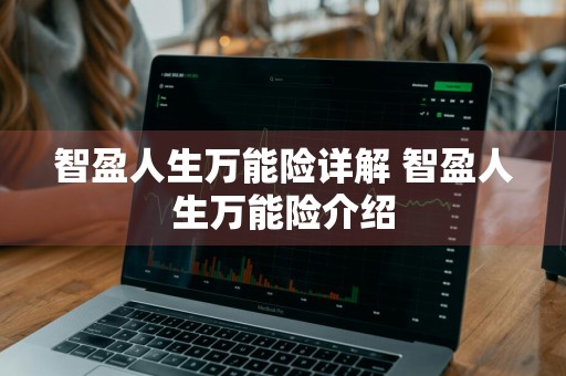 智盈人生万能险详解 智盈人生万能险介绍
