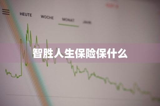 智胜人生保险保什么