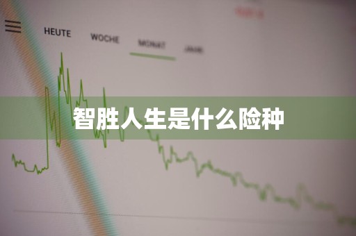 智胜人生是什么险种