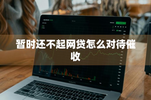暂时还不起网贷怎么对待催收
