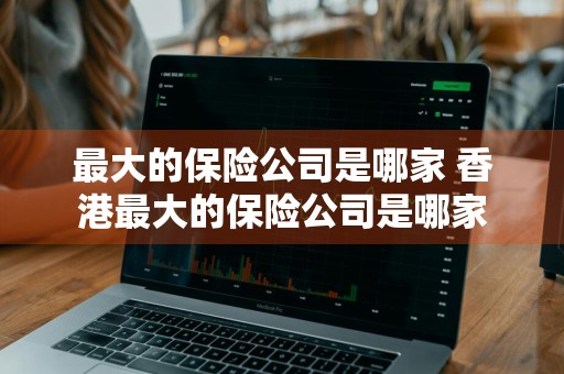 最大的保险公司是哪家 香港最大的保险公司是哪家