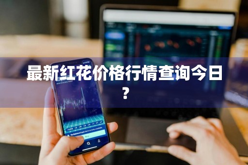 最新红花价格行情查询今日？