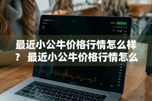 最近小公牛价格行情怎么样？ 最近小公牛价格行情怎么样了