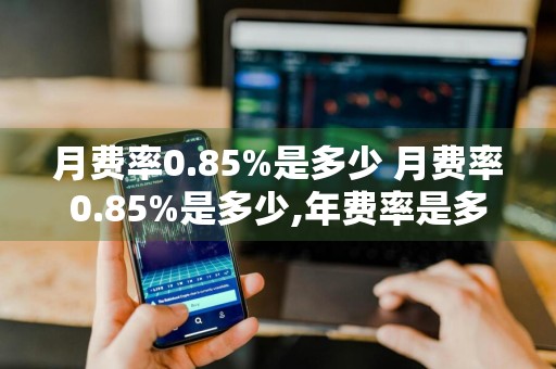 月费率0.85%是多少 月费率0.85%是多少,年费率是多少