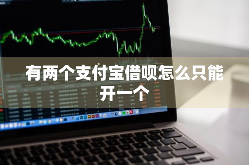 有两个支付宝借呗怎么只能开一个