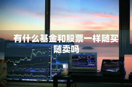 有什么基金和股票一样随买随卖吗