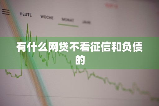 有什么网贷不看征信和负债的