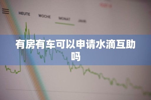 有房有车可以申请水滴互助吗