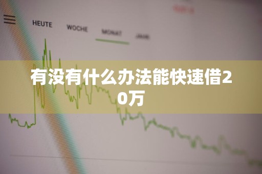 有没有什么办法能快速借20万
