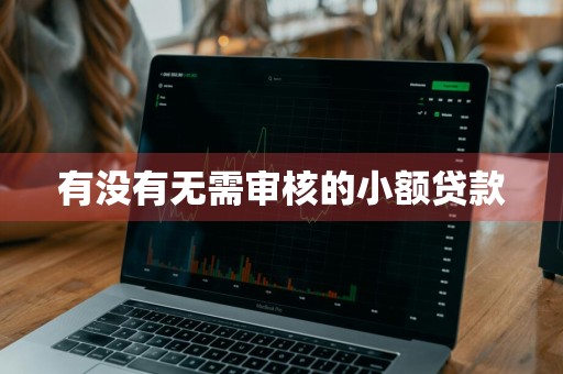 有没有无需审核的小额贷款