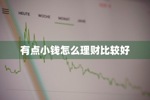 有点小钱怎么理财比较好