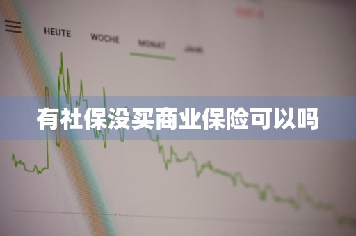 有社保没买商业保险可以吗