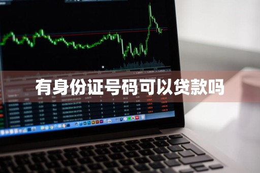有身份证号码可以贷款吗
