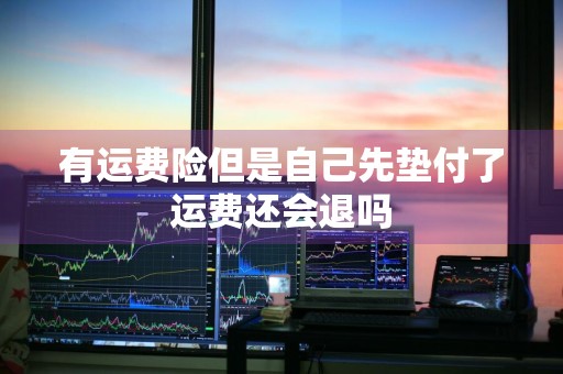 有运费险但是自己先垫付了运费还会退吗