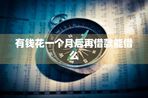 有钱花一个月后再借款能借么