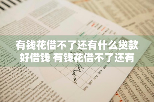 有钱花借不了还有什么贷款好借钱 有钱花借不了还有什么贷款好借钱的