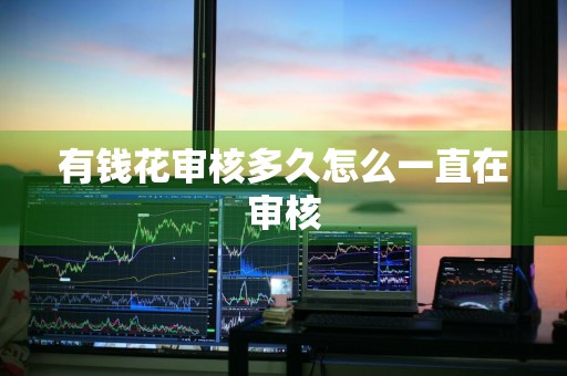 有钱花审核多久怎么一直在审核