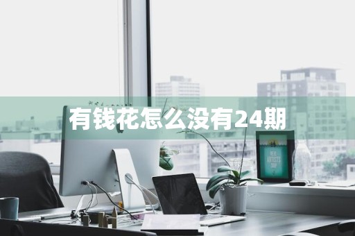 有钱花怎么没有24期
