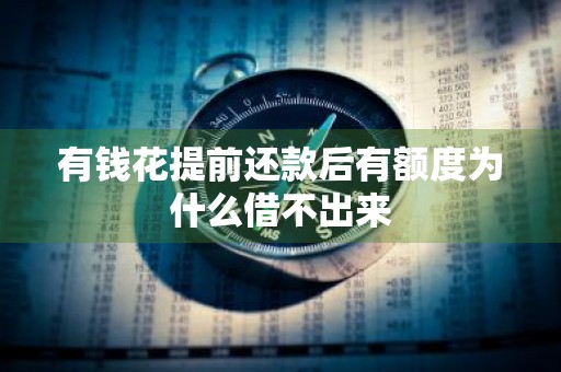 有钱花提前还款后有额度为什么借不出来