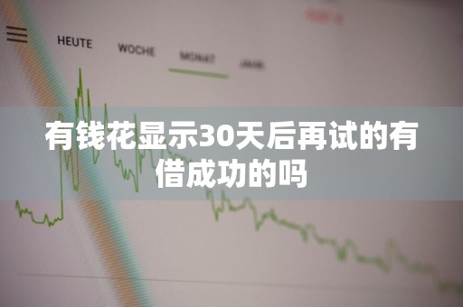 有钱花显示30天后再试的有借成功的吗