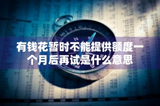 有钱花暂时不能提供额度一个月后再试是什么意思