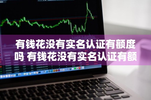 有钱花没有实名认证有额度吗 有钱花没有实名认证有额度吗安全吗