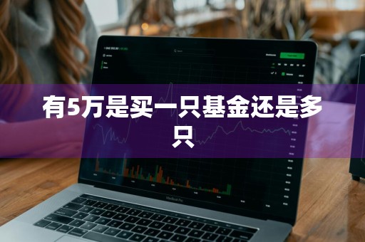 有5万是买一只基金还是多只