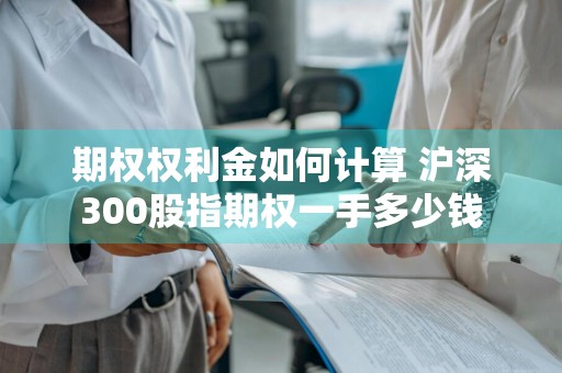 期权权利金如何计算 沪深300股指期权一手多少钱