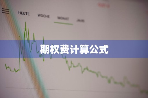 期权费计算公式