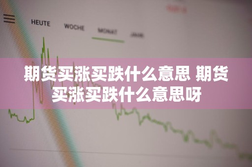 期货买涨买跌什么意思 期货买涨买跌什么意思呀