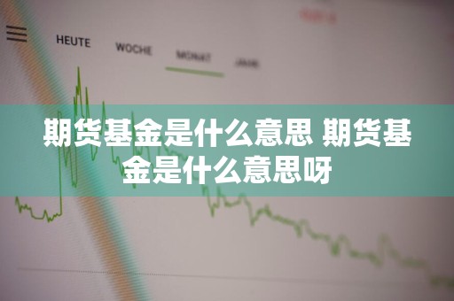 期货基金是什么意思 期货基金是什么意思呀