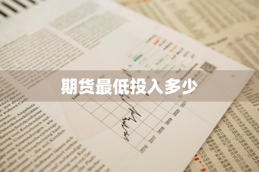 期货最低投入多少