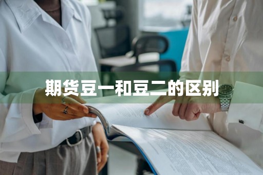 期货豆一和豆二的区别