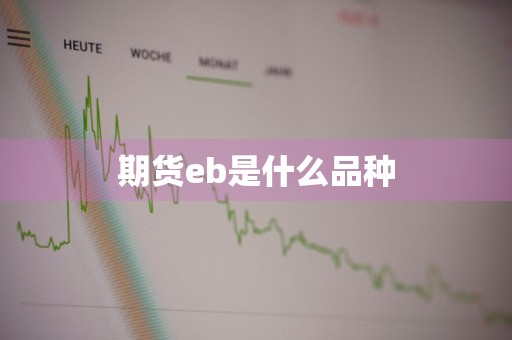 期货eb是什么品种