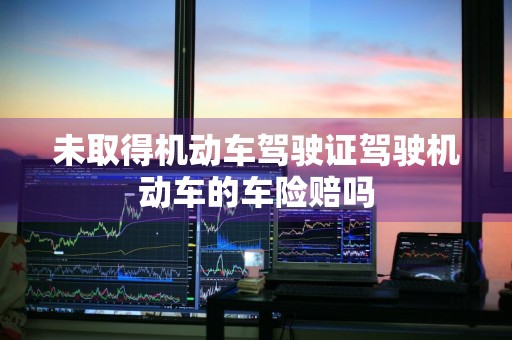 未取得机动车驾驶证驾驶机动车的车险赔吗