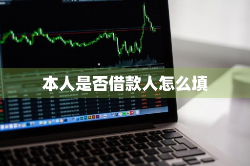 本人是否借款人怎么填