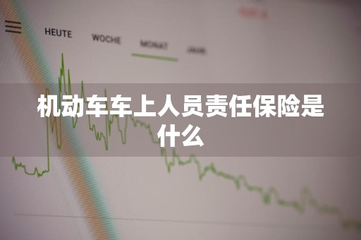 机动车车上人员责任保险是什么