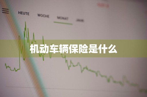 机动车辆保险是什么