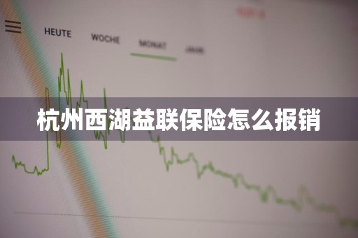 杭州西湖益联保险怎么报销