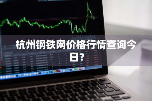 杭州钢铁网价格行情查询今日？