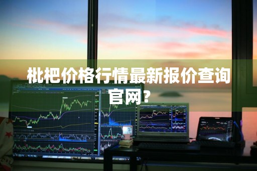 枇杷价格行情最新报价查询官网？