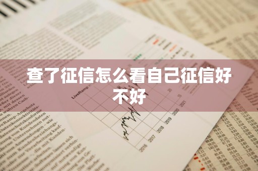 查了征信怎么看自己征信好不好