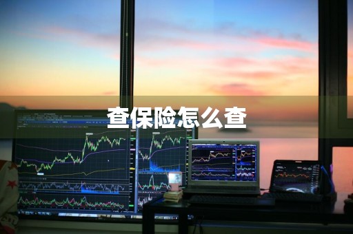 查保险怎么查