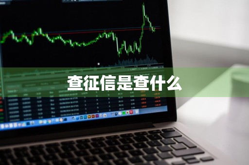 查征信是查什么